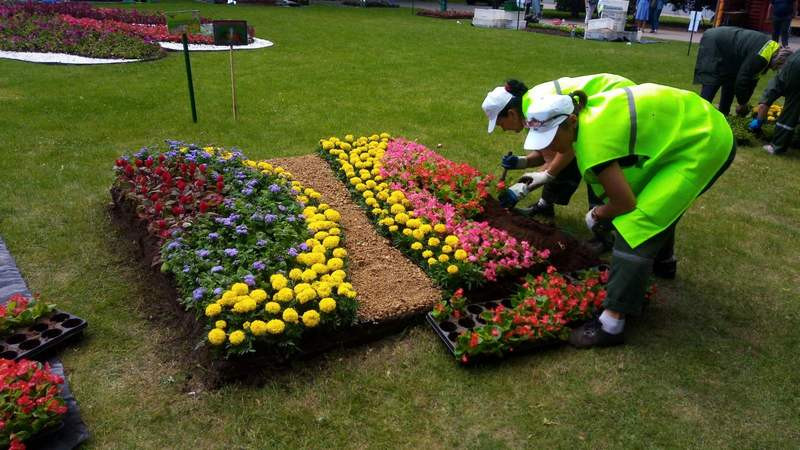 минский мастер-2021