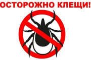 Профилактика клещевых инфекций