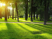 План комплексного благоустройства территории Московского района г. Минска на 2021 год