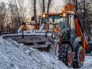 Информация об обрезке ветвей деревьев в Московском районе г.Минска в феврале 2021г.