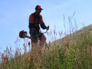 Информация о косьбе закрепленных для технологического содержания зеленых зон в мае 2021 г.