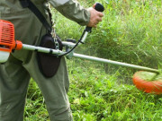 Информация о косьбе закрепленных для технологического содержания зеленых зон в июне 2021 г.